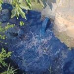 IMG-20260814-WA0001
