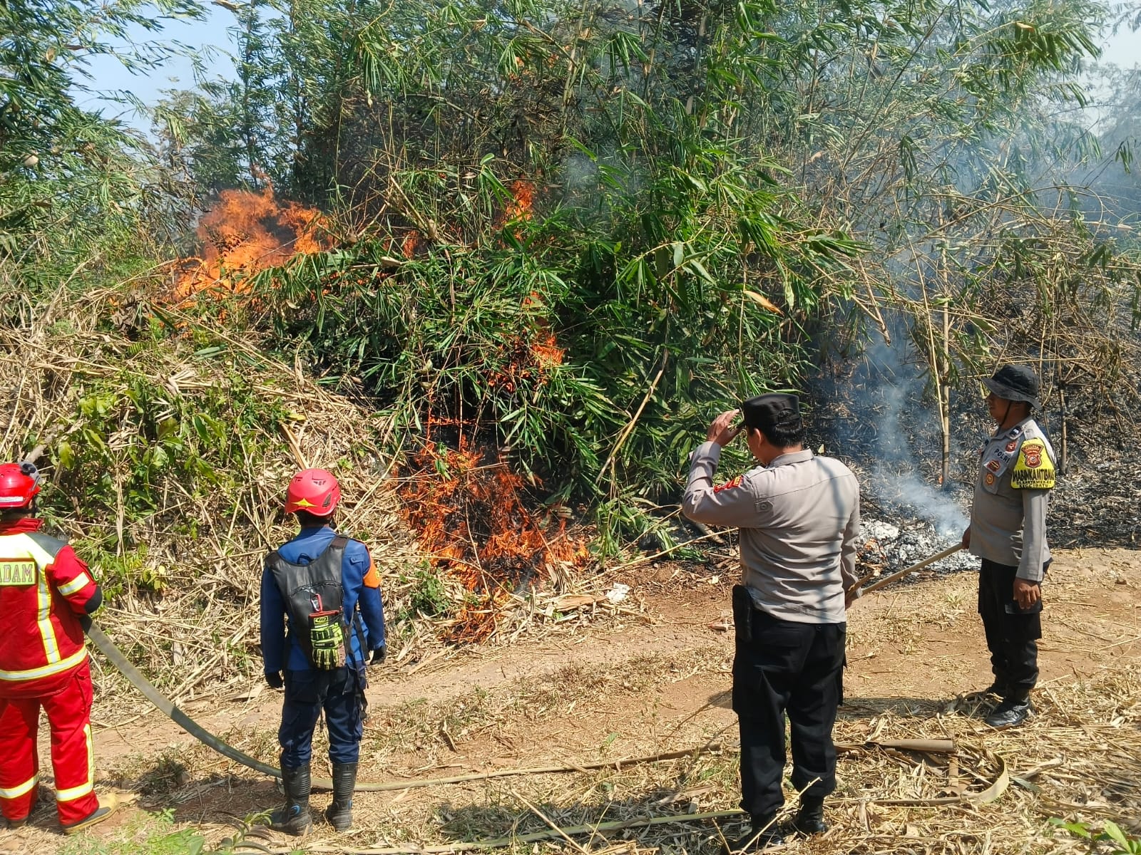 IMG-20260915-WA0065